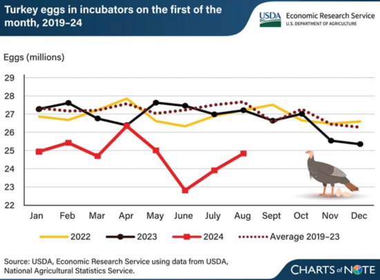 AgriMarketing.com - USDA Reports Turkey Producers To Hatch Historically ...